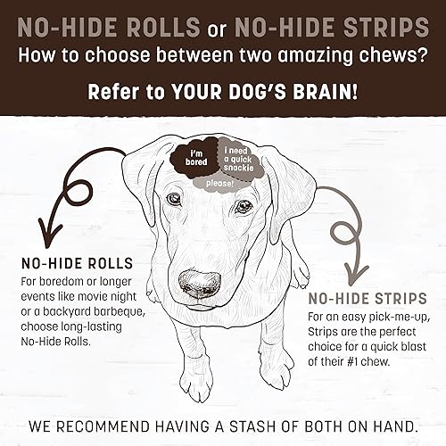 Miniatura 7 de EARTH ANIMAL No Hide - Palitos masticables para perros con sabor a cerdo medio natural, sin cuero crudo, de larga duración, golosinas para perros