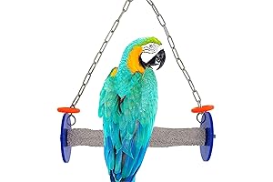 Roll Bird Swing, The Best Friend to Your Parrot