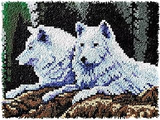 Latch Hook Rug Kits, DIY Latch Hook Rug, Home Carpet Rug Making Canvas Kits, DIY Crochet Kits Embroidery Kits Needlework Crafts for Home Decor, Latch Hook Kits for Beginners Kids Adults, 50 X 38 cm