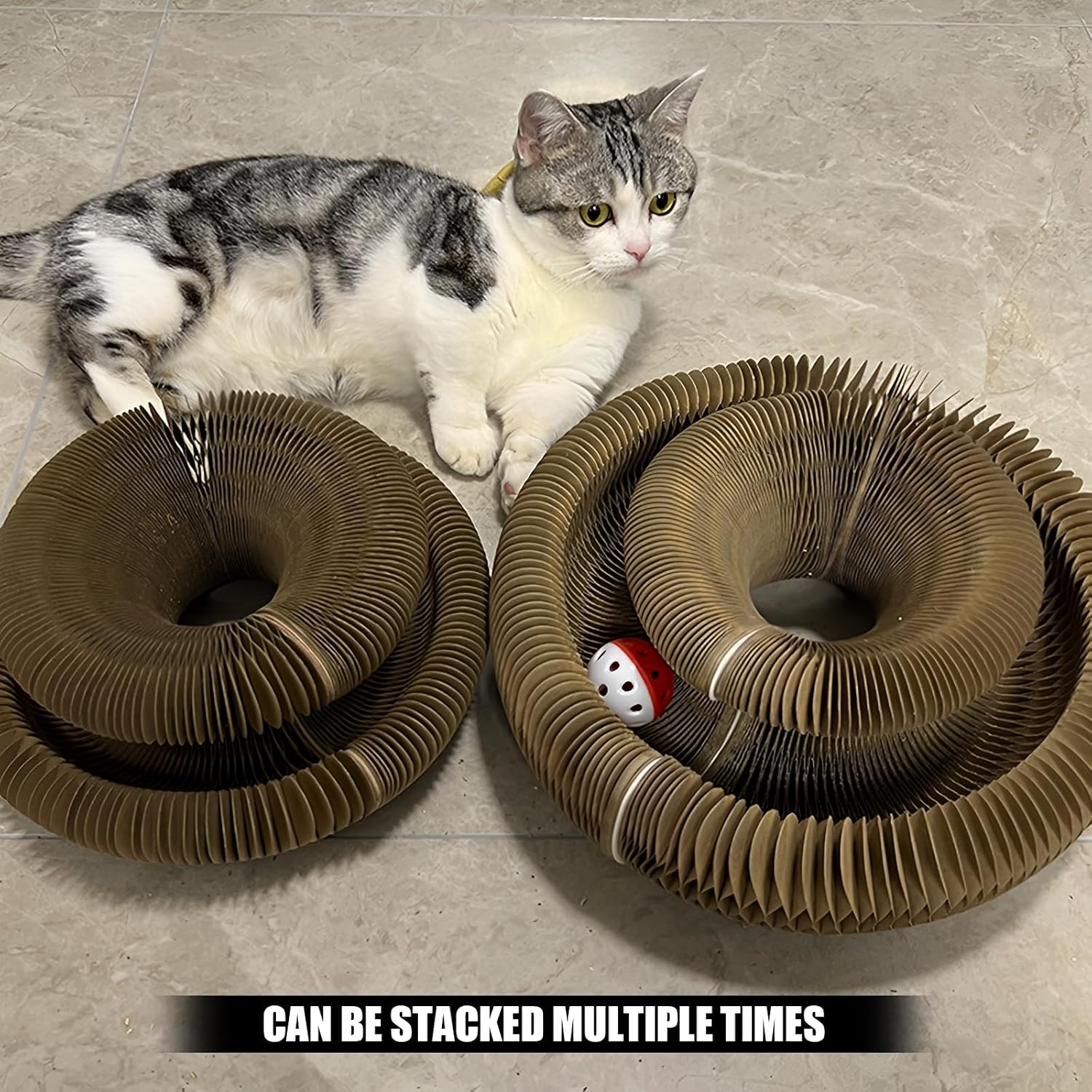 Magic Organ 2PC Cat Scratch Board, Cat Toy with Bell, Foldable Magnetic Corrugated Paper Circular