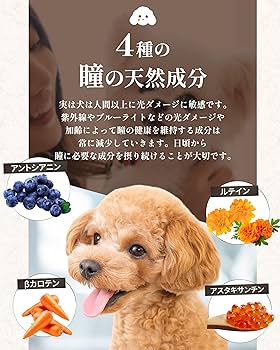 Amazon.co.jp: アミュレ 犬 サプリ シニア犬 目 瞳 頭 関節 獣医