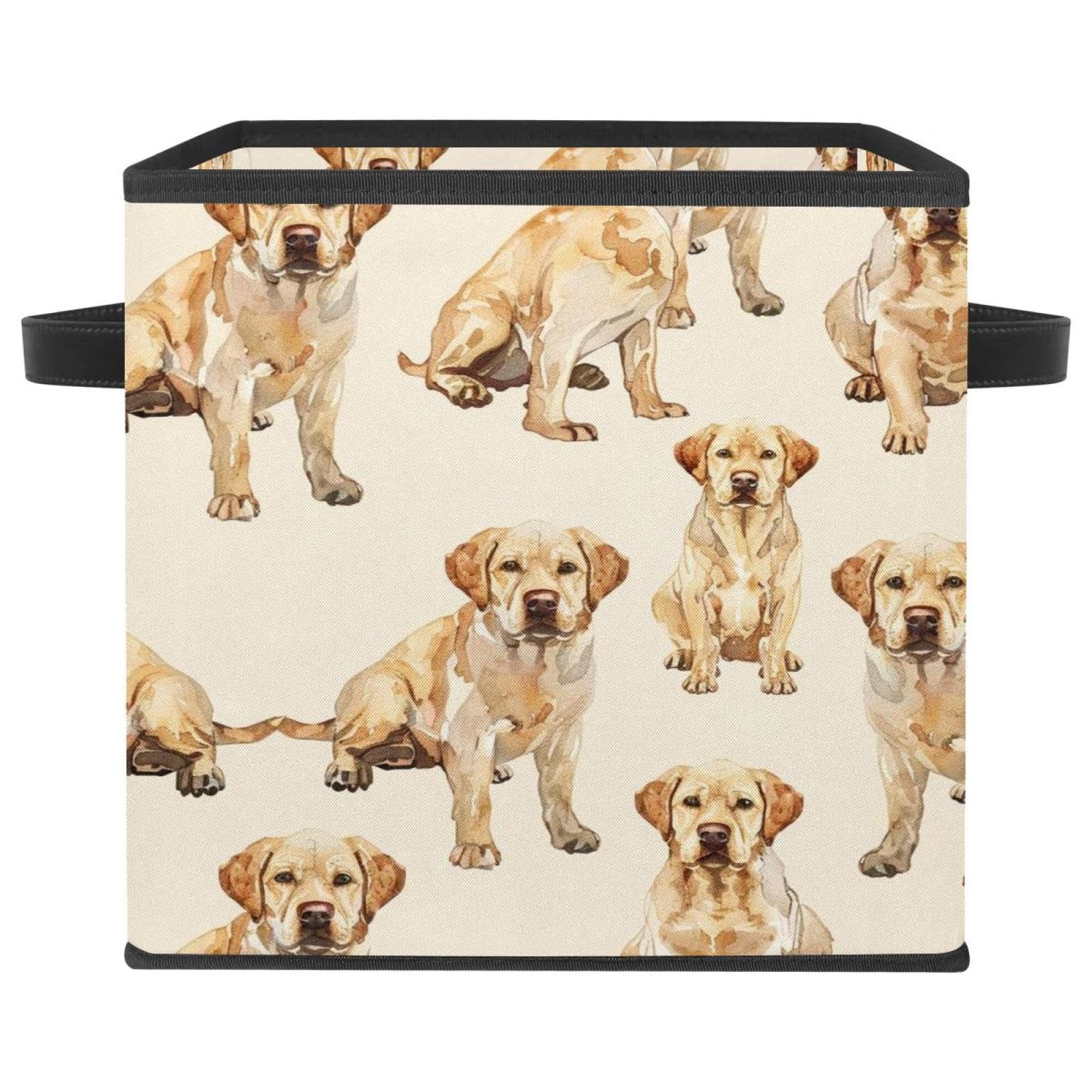 Boîte de rangement pour chien durable en cube de rangement grand