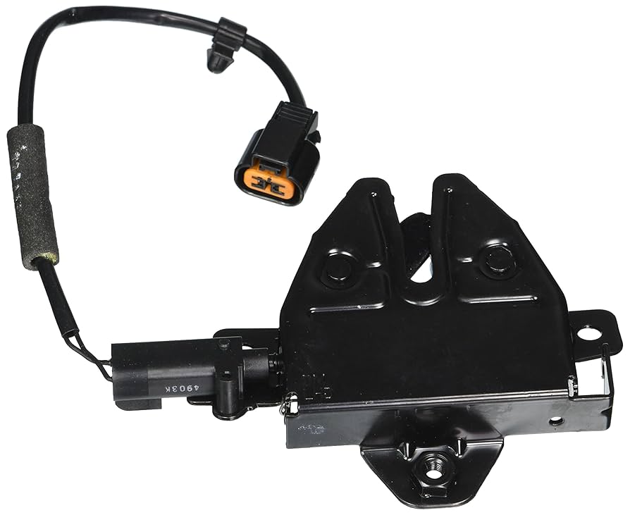 Amazon.com: HYUNDAI 81130-2W000 Hood Latch Assembly : Automotive