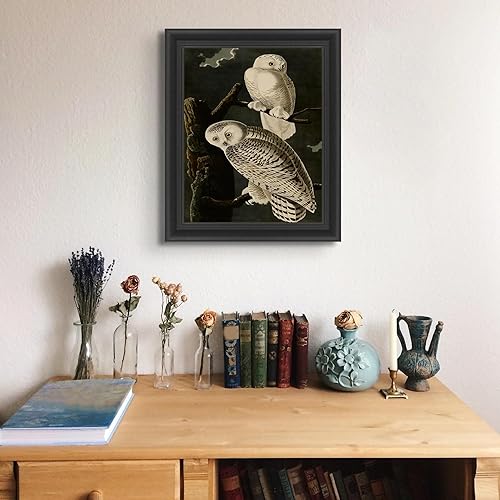 Miniatura 3 de Lost Cabin Snowy Owl de James Audubon  Impresión sin marco  Reproducción de pintura de obras de arte finas  Póster enmarcado de decoración de arte