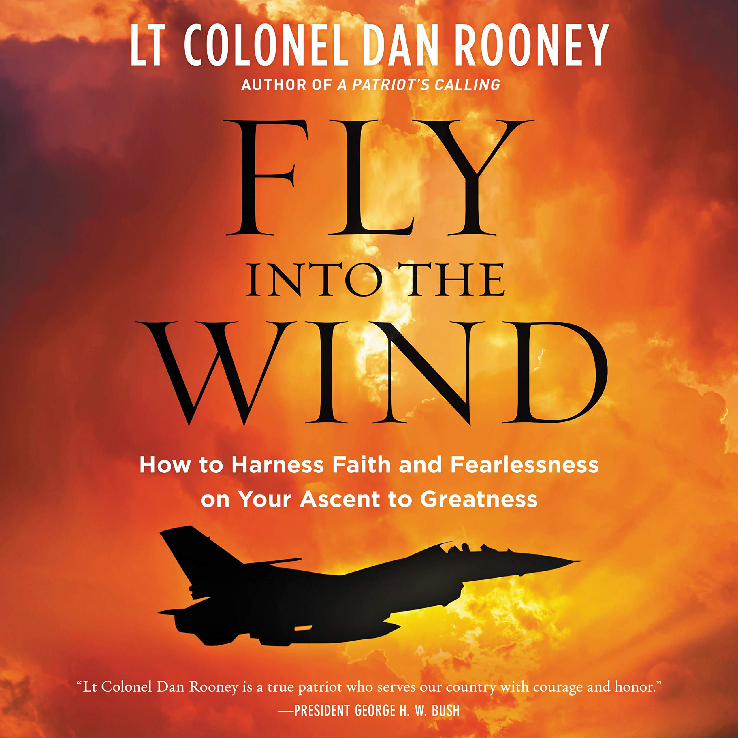 Cover art for Fly Into the Wind
