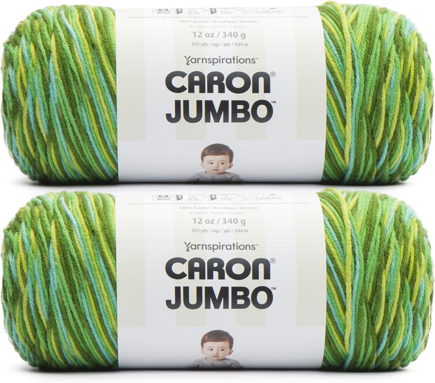 Caron Jumbo Foliage Yarn - 2 Pack of 340g/12 oz - 100% Acrylic - #4 Worsted (Medium) - 595 Yards - Knitting/Crochet
