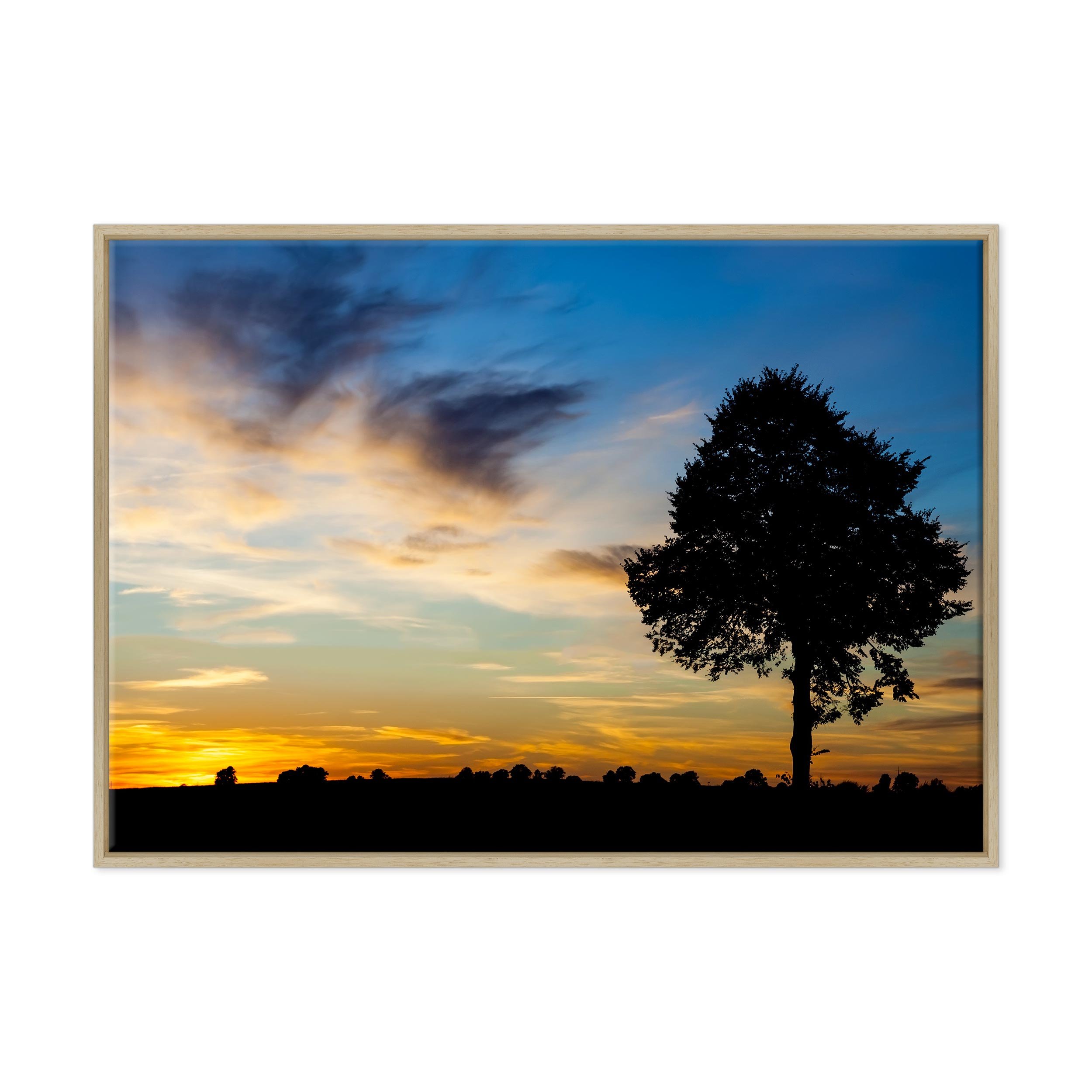 Cuadro sobre lienzo Canvas – ConKrea – Listo para colgar – atardecer de campo