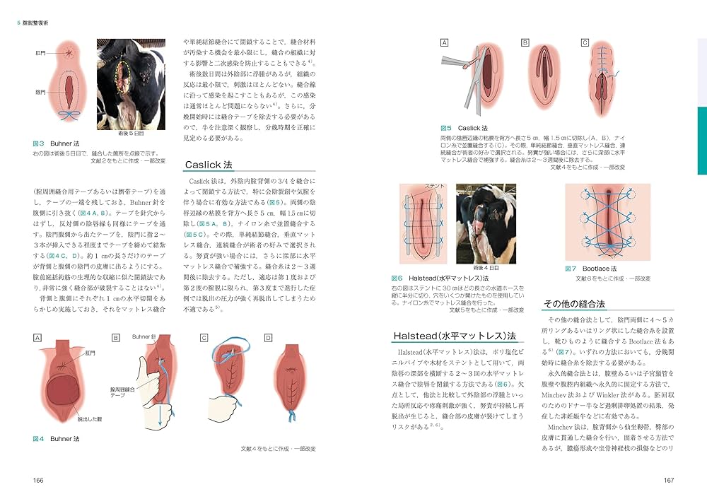 牛の臨床 3 主要症状を基礎にした牛の臨床 3 | 田島誉士, 小岩政