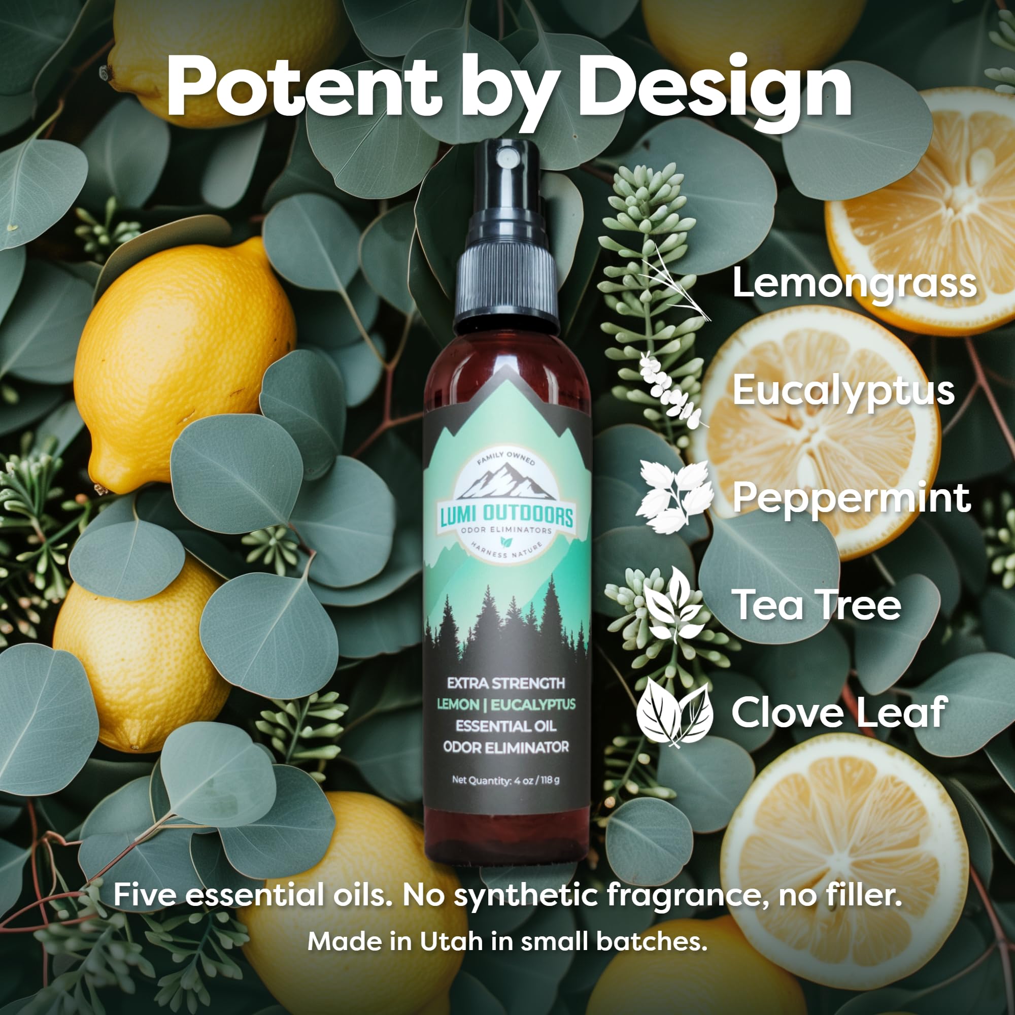 Lumi Outdoors Odświeżacz powietrza w sprayu do butów antyzapachowych - Naturalny odświeżacz powietrza w sprayu - Zestaw 3 aromatów : eukaliptus cytrynowy, drzewo herbaciane cytrusowe, drzewo lawendowe