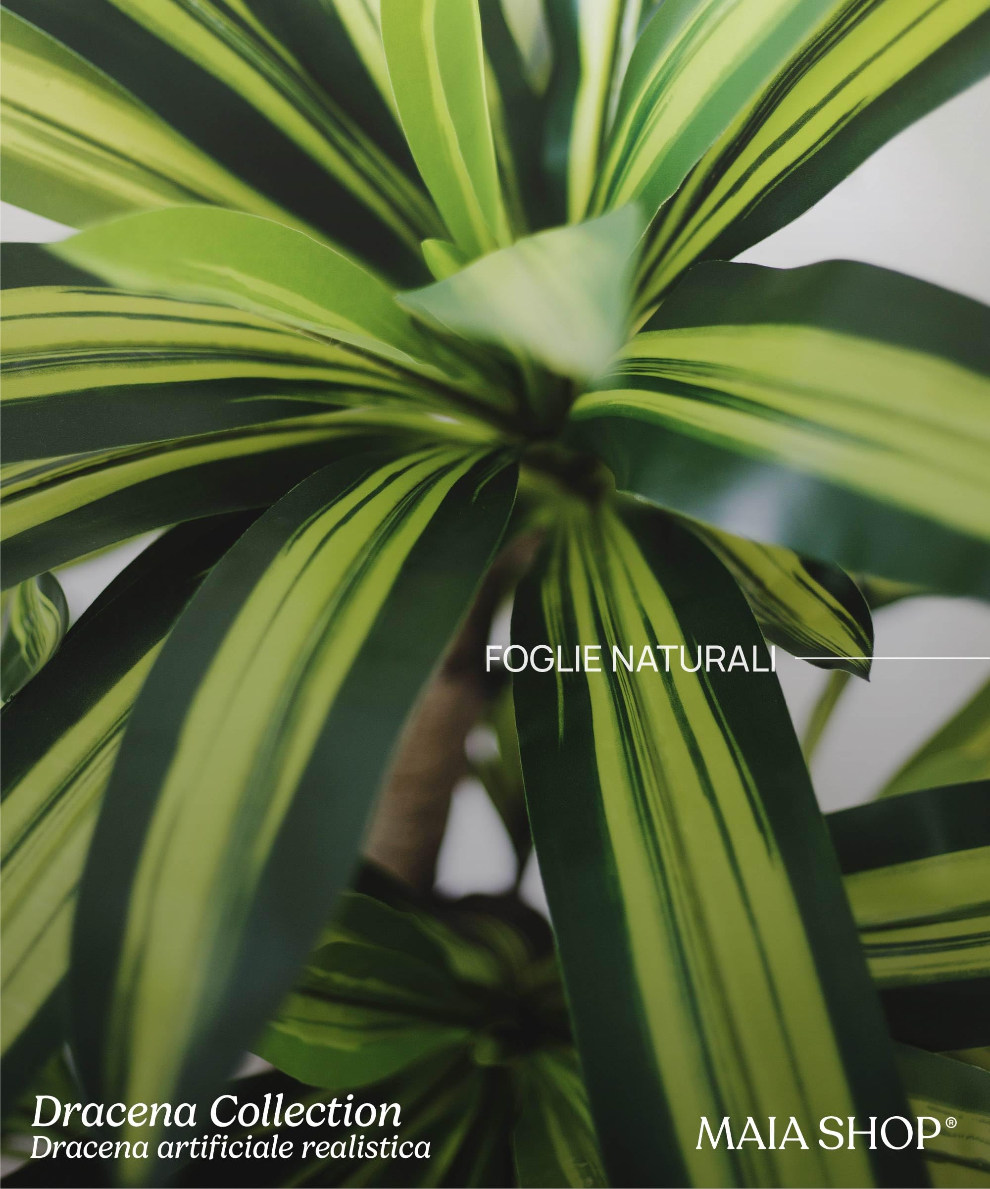 MAIA SHOP Dracaena artificiale 120 cm, pianta finta decorativa iperrealistica, albero tropicale per casa ufficio hotel e interni coperti