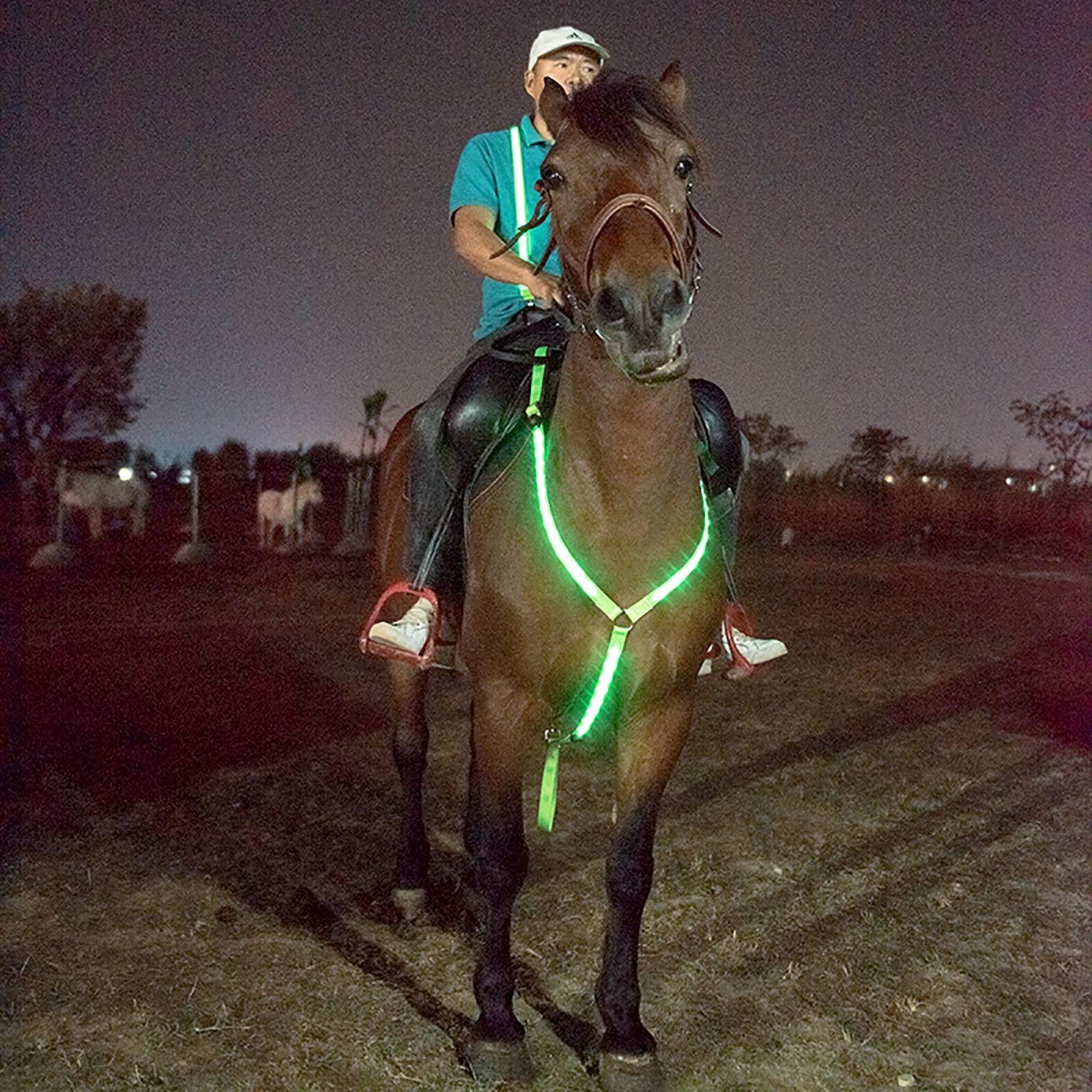 Collares de coraza de Caballo Intermitente,LED Collar de Tachuela de Alta Visibilidad Correa de Pecho de Caballo Luminosa Equipo de Equipo de Seguridad para Montar a Caballo de Noche,Verde