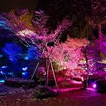 LED Flood Light Outdoor 800W Equivalent, Bluetooth Smart Color Change Landscape Lighting, DIY-Scene+RGB Colors+Warm White 2700K - APP & Group Control & Timing, IP66 Waterproof Up Light 2Pack