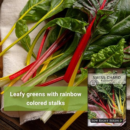 Miniatura 3 de Sow Right Seeds - Semillas de acelga arcoíris para plantar - Paquete de reliquia sin OMG con instrucciones para plantar y cultivar un huerto casero