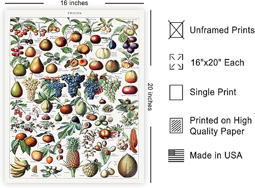 Miniatura 555 de Poster Master Póster vintage de orquídea, estampado de flores retro, arte de pared de plantas exóticas, arte botánico, regalo para hombres y