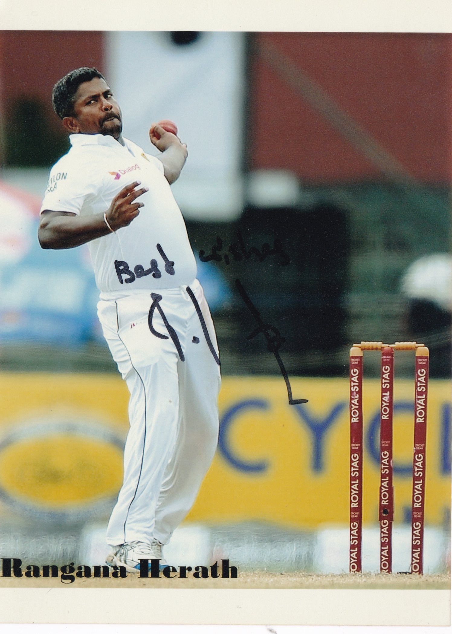 Rangana Herath Cricket Player Photograph (1/2)-picture-26