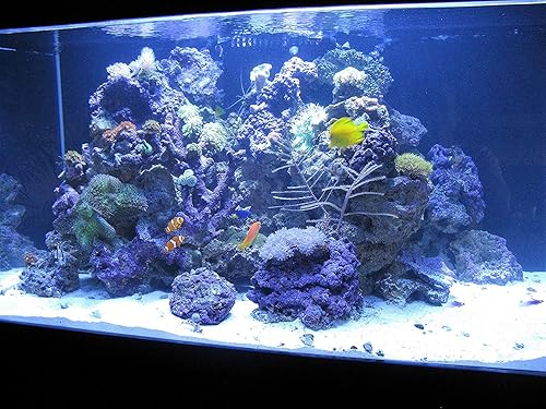 Miniatura 5 de Kolar Labs - Resina de desionización que cambia de color DI para peceras, estanques y acuarios, grado de acuario de arrecife, recipiente completo