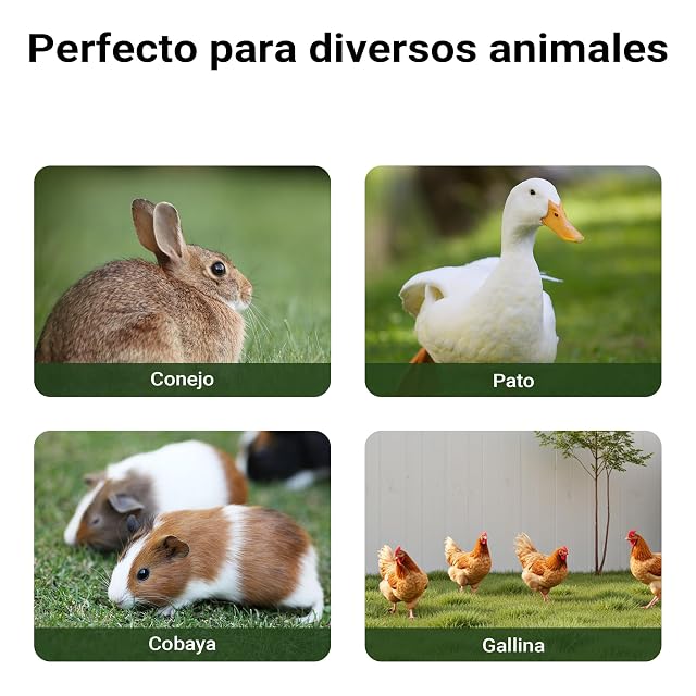 Foto 8 de 8 de Conejera Corral Jaula Conejos casa roedores hámsteres Mascotas Espacio Libre Corredor Zona Abierta