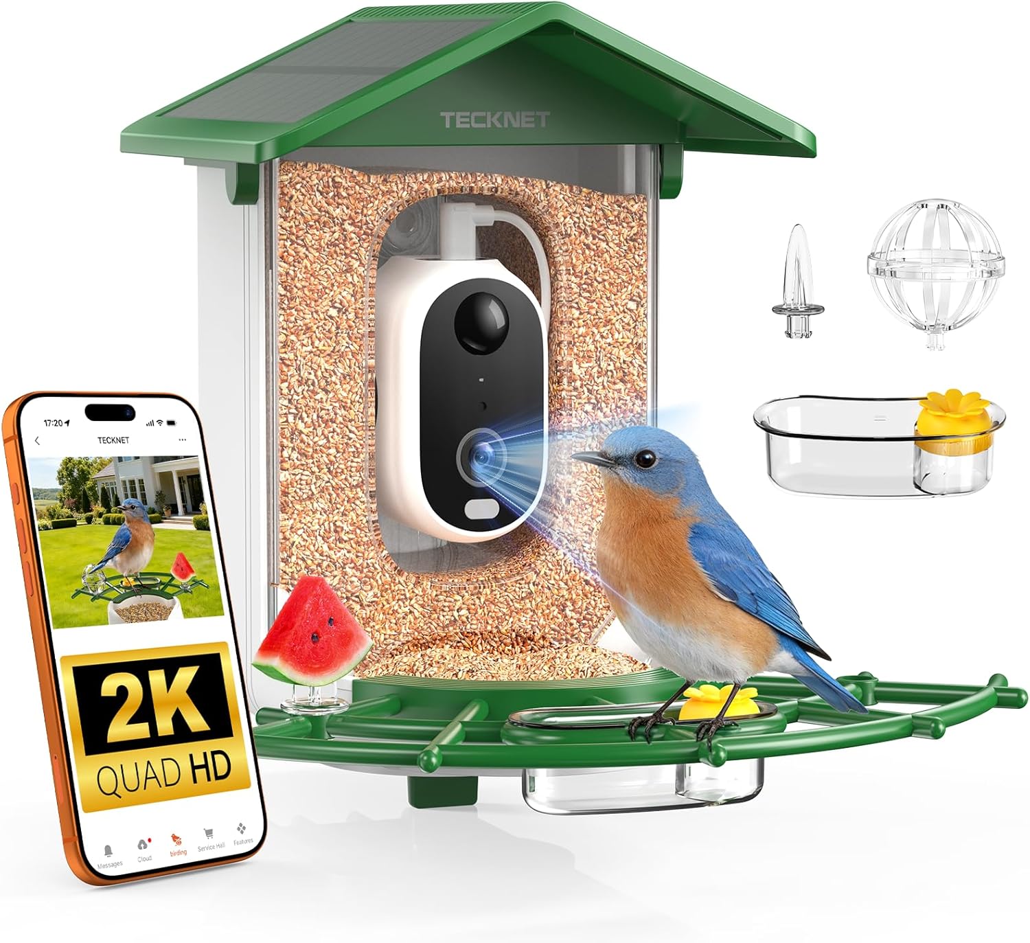 TECKNET Smart Bird Feeder with Camera, 2K UHD Video, AI Bird Species Identification, Instant Arrival Alerts, Solar Powered, Waterproof Birdhouse Camera, Gift for BirdLovers, Family, Green