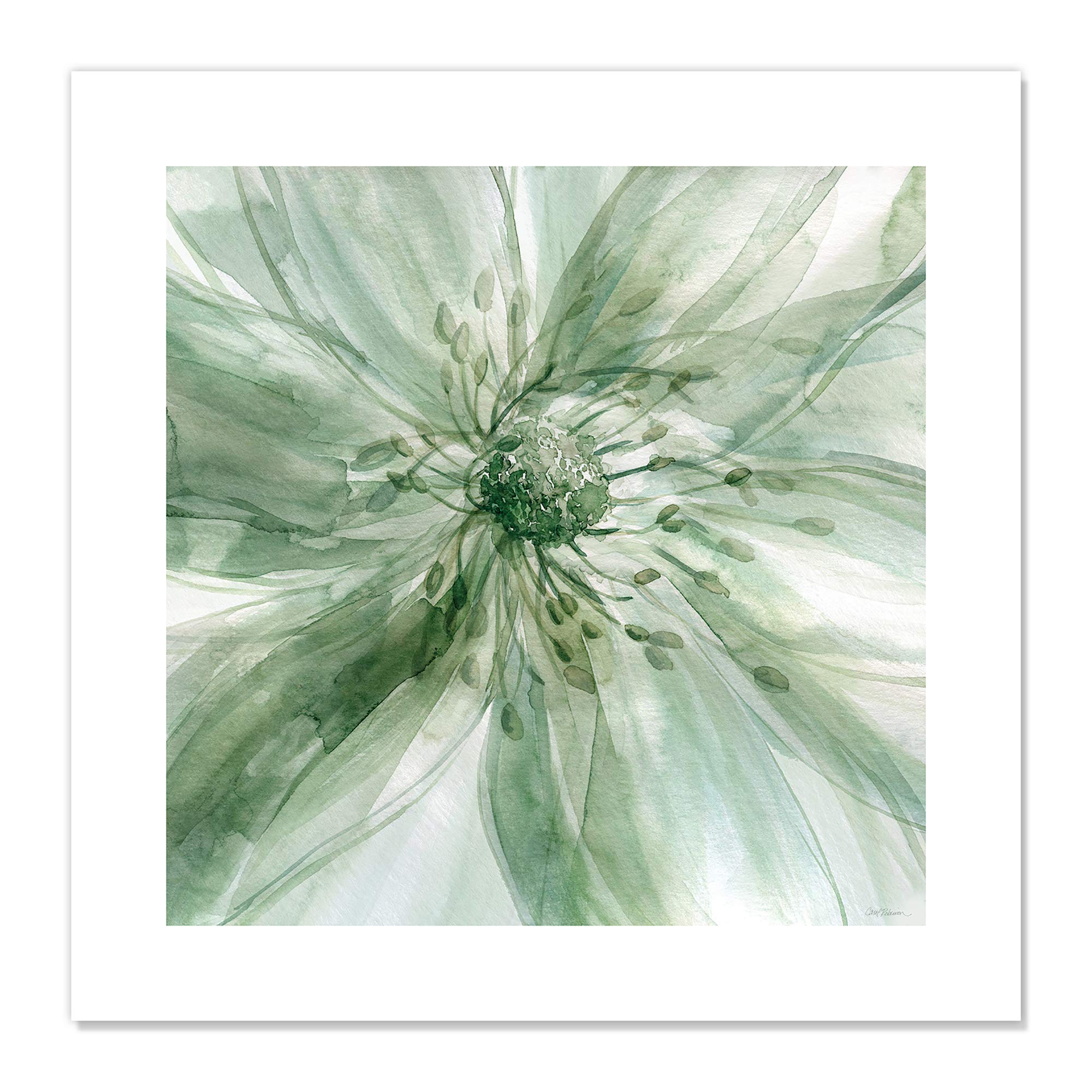 X Ray Floral Wall Art Decor For You