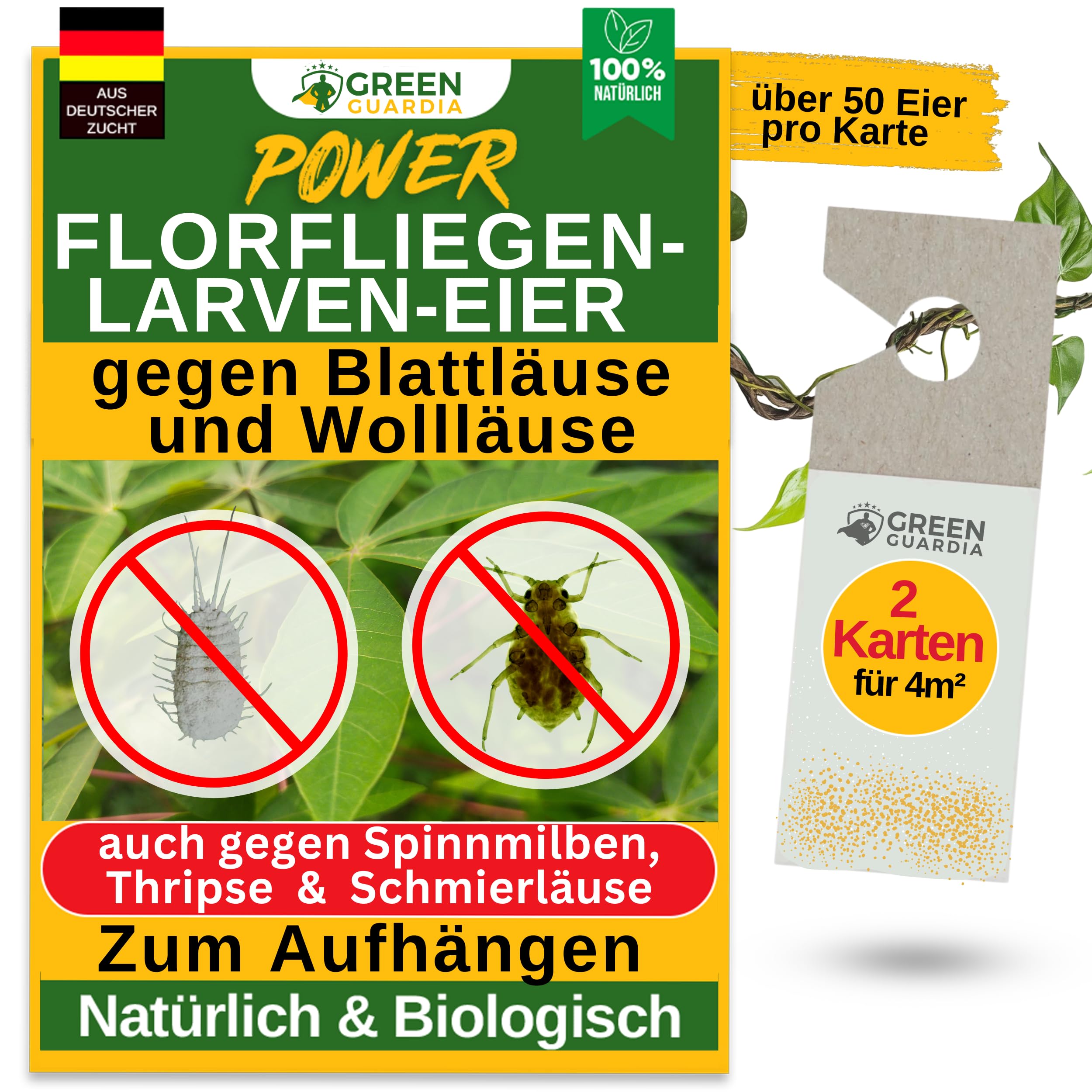 GREEN GUARDIA Power Florfliegenlarven-Eier gegen Blattläuse, Spinnmilben, Thripse & Co. - 2x Karten zum einfachen Aufhängen - starke Wirkung bei Gemüse-, Cannab.- & Zierpflanzen