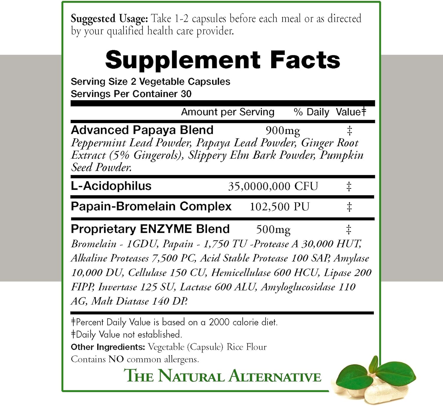 Digestive Enzymes Natural GI Digestive Support Supplement Advanced Tract 950