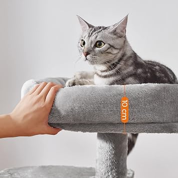 FEANDREA Small Cat Tree Scratching Pole Multilayer 68cm, Light Grey