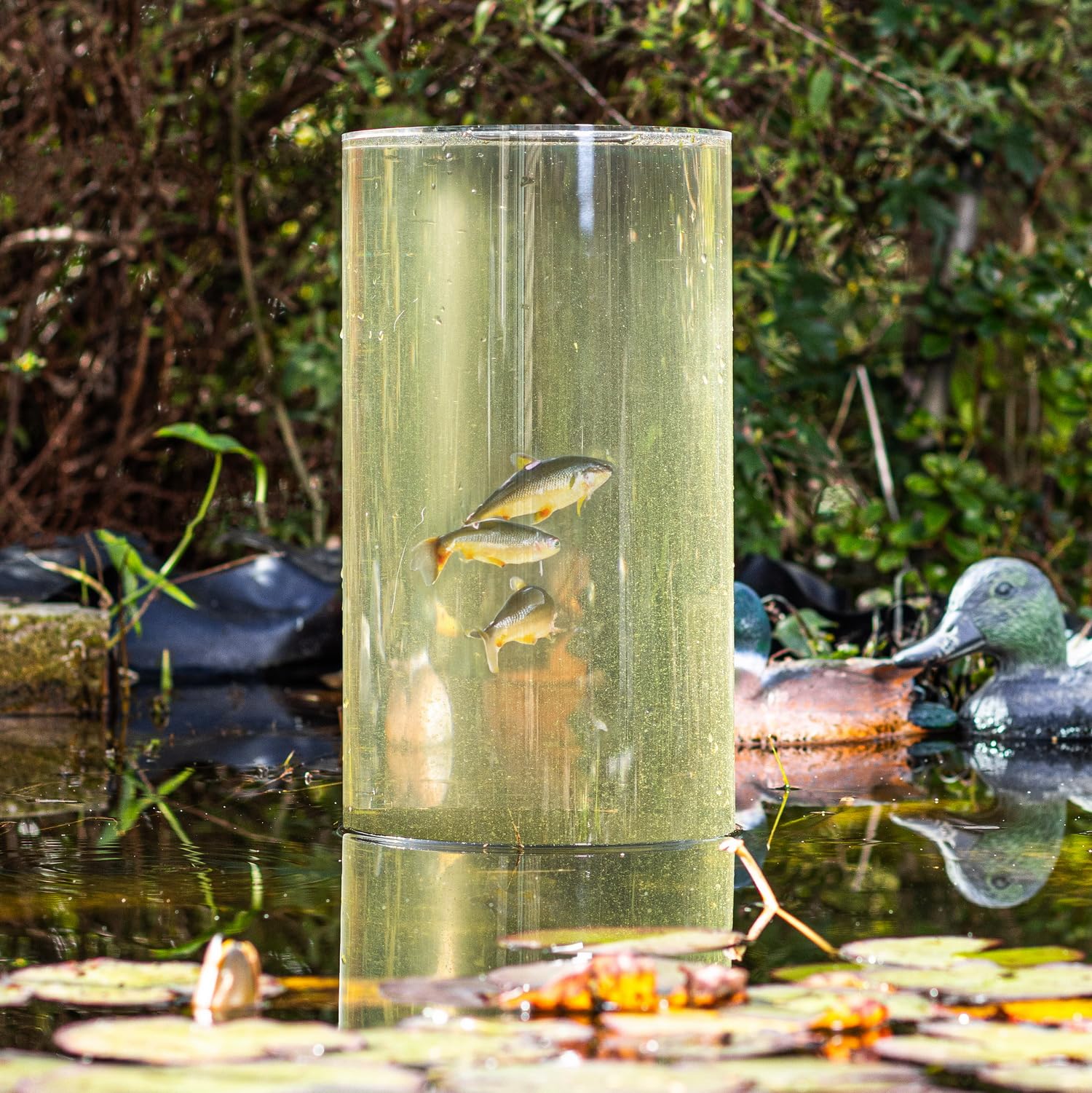 Fischsäule Teichsäule Teich-Deko transparent