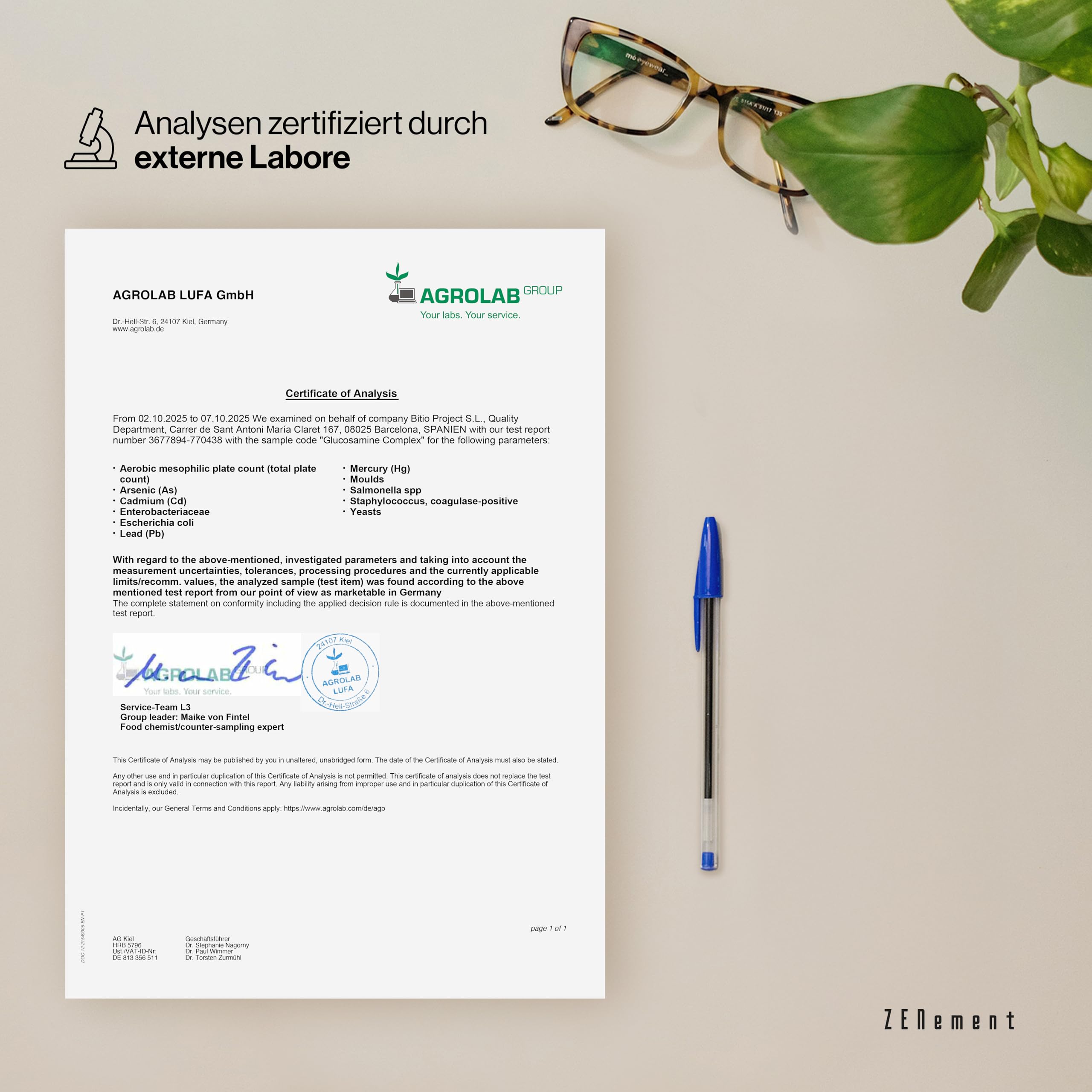 Glucosamin-Komplex mit Chondroitin, MSM, Boswellia, Bambus, Quercetin und Selen - 365 Kapseln, Kapsel-Form - Ohne Zusatzstoffe, Ohne Gentechnik - Zenement
