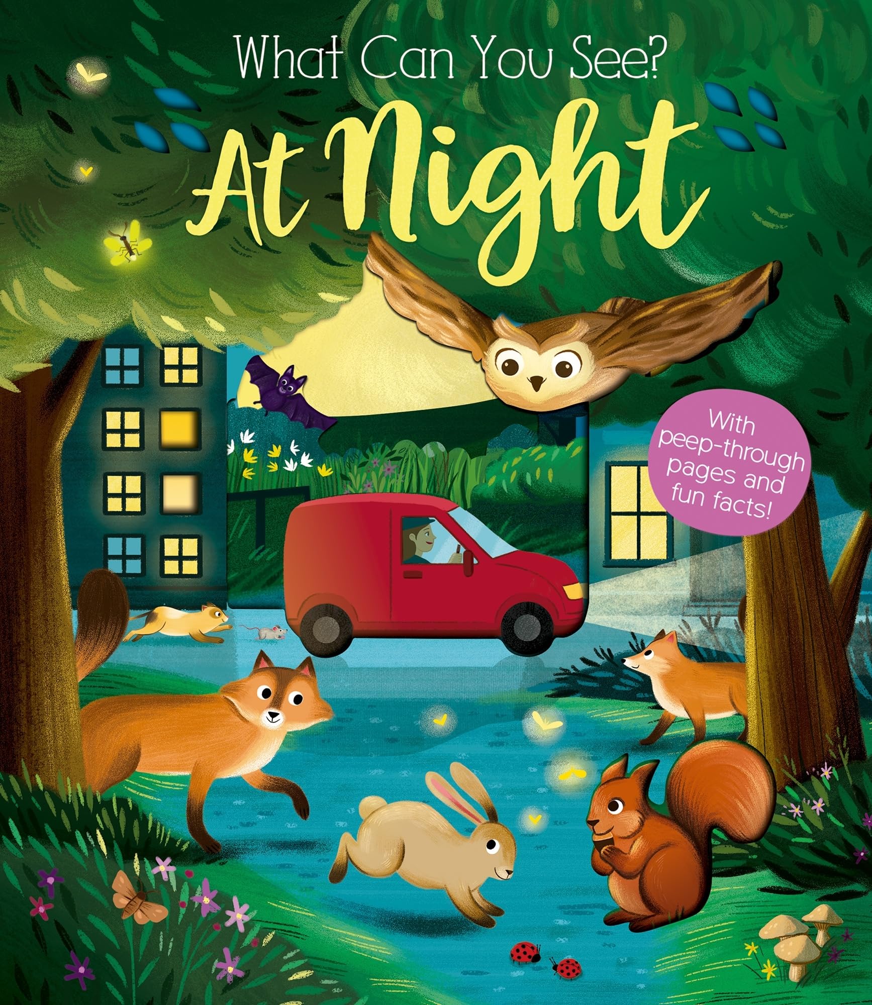 What Can You See At Night? by Kate Ware, Mara Perera - 9781912756414