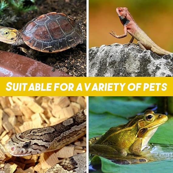 4 Pcs Turtle Basking Platform, Tortoise Rock Plate 10x10cm Natural Rock Tortoise Slate Pad Reptile Habitat Platform and Feeding Tray
