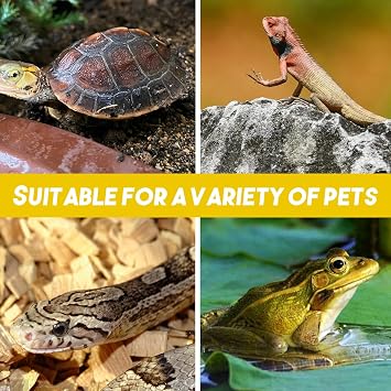 4 Pcs Turtle Basking Platform, Tortoise Rock Plate 10x10cm Natural Rock Tortoise Slate Pad Reptile Habitat Platform and Feeding Tray