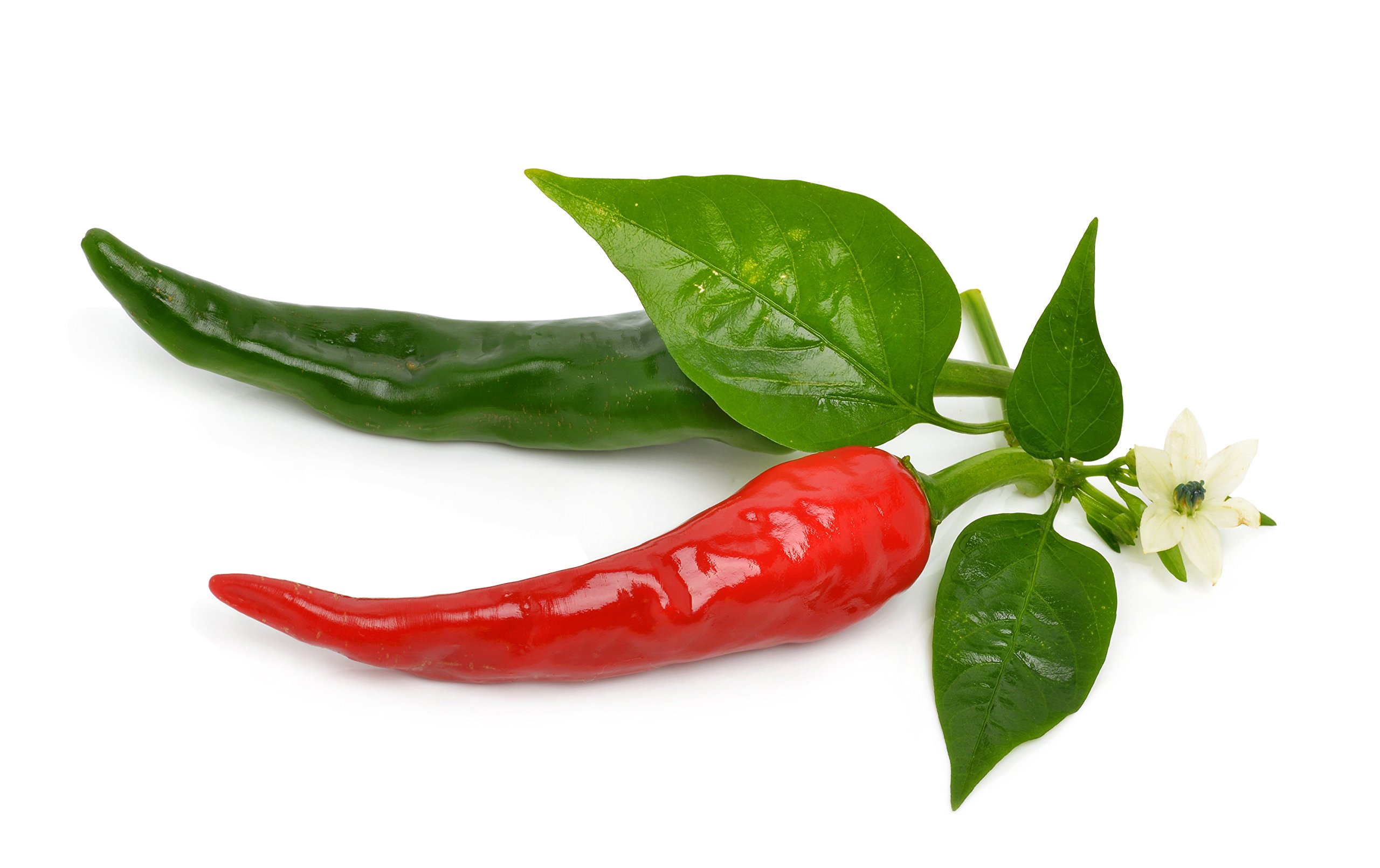 Jalapeno - Chili geschnitten. Jalapeño - Chiliflocken. Jalapeñoflocken. Premium-Qualität. PP - Eimer 10KG