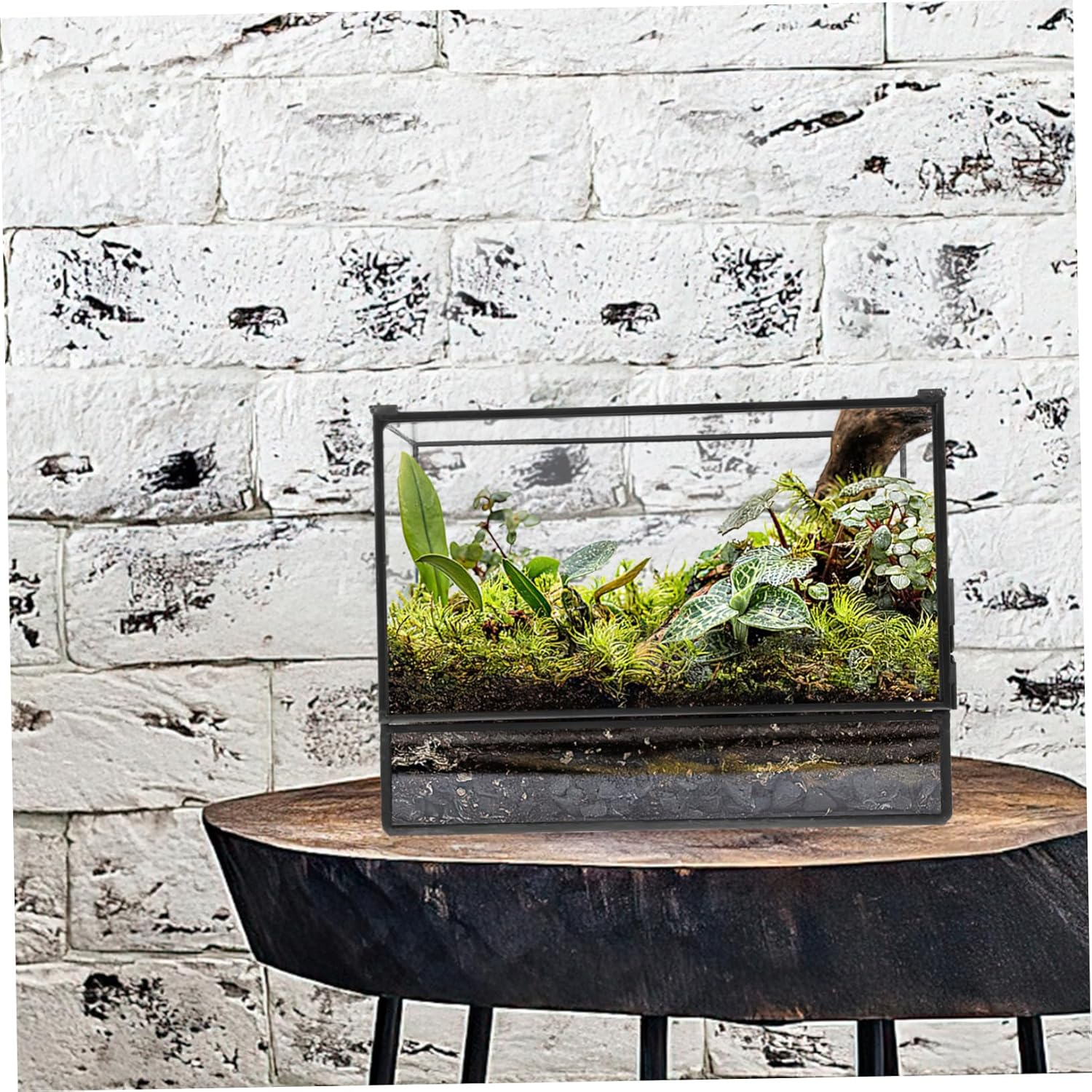 DIY Ecosystem Terrarium Glass Landscape Display Holder Small Plant Terrarium Eco Desktop Landscaping Tank