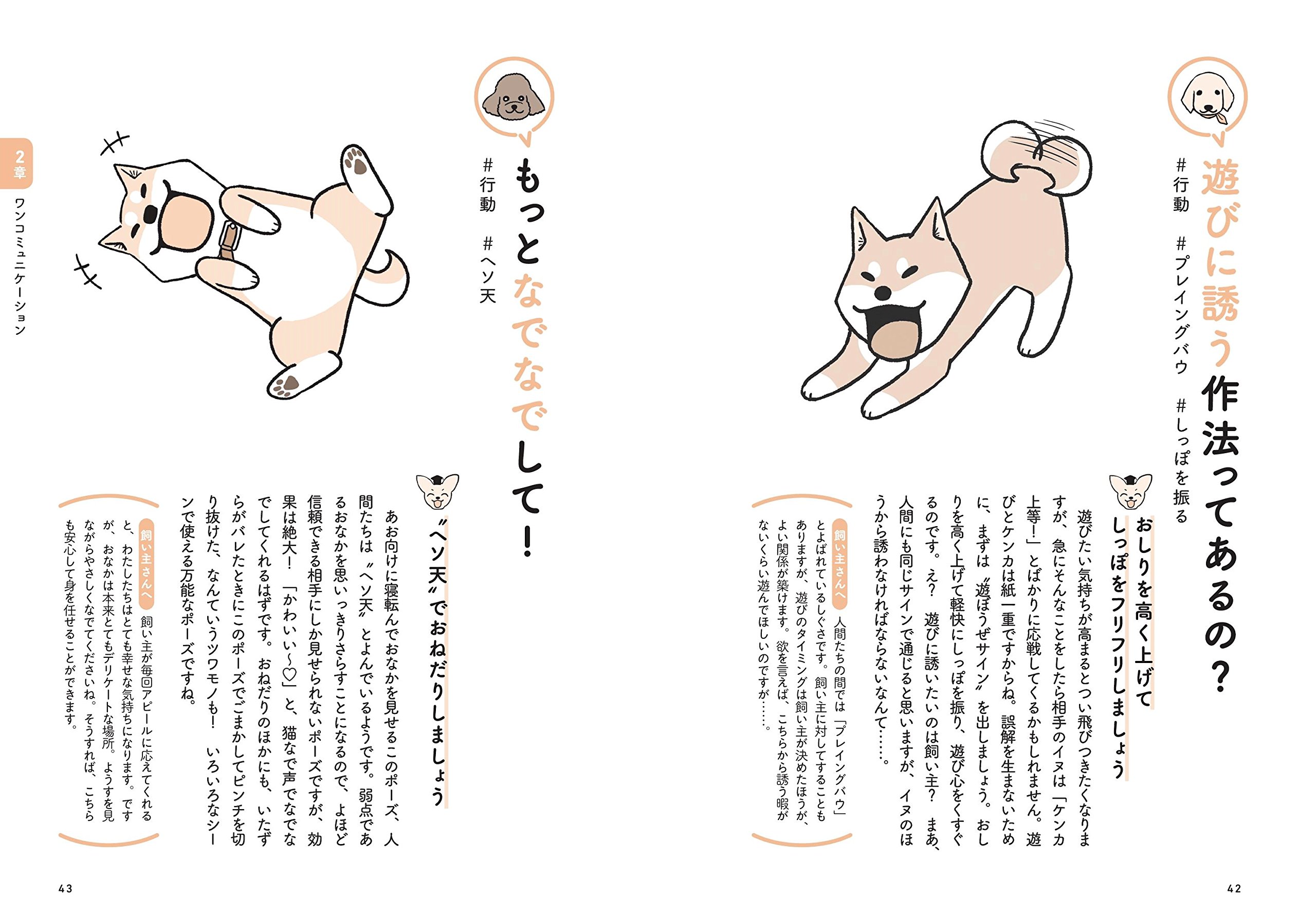 飼い主さんに伝えたい130のこと 5巻セット ペットの本音シリーズ 磯崎哲也 井原 亮 石毛じゅんこ 今泉忠明 山本宗伸 Birdstory みずしな孝之 井口病院 本 通販 Amazon