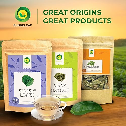 Miniatura 6 de SUNBELEAF Té de hoja de guanábana (3.17 onzas), 300 hojas enteras secas, hojas de guanábana de graviola vietnamita 100% puras, sabor tropical suave,
