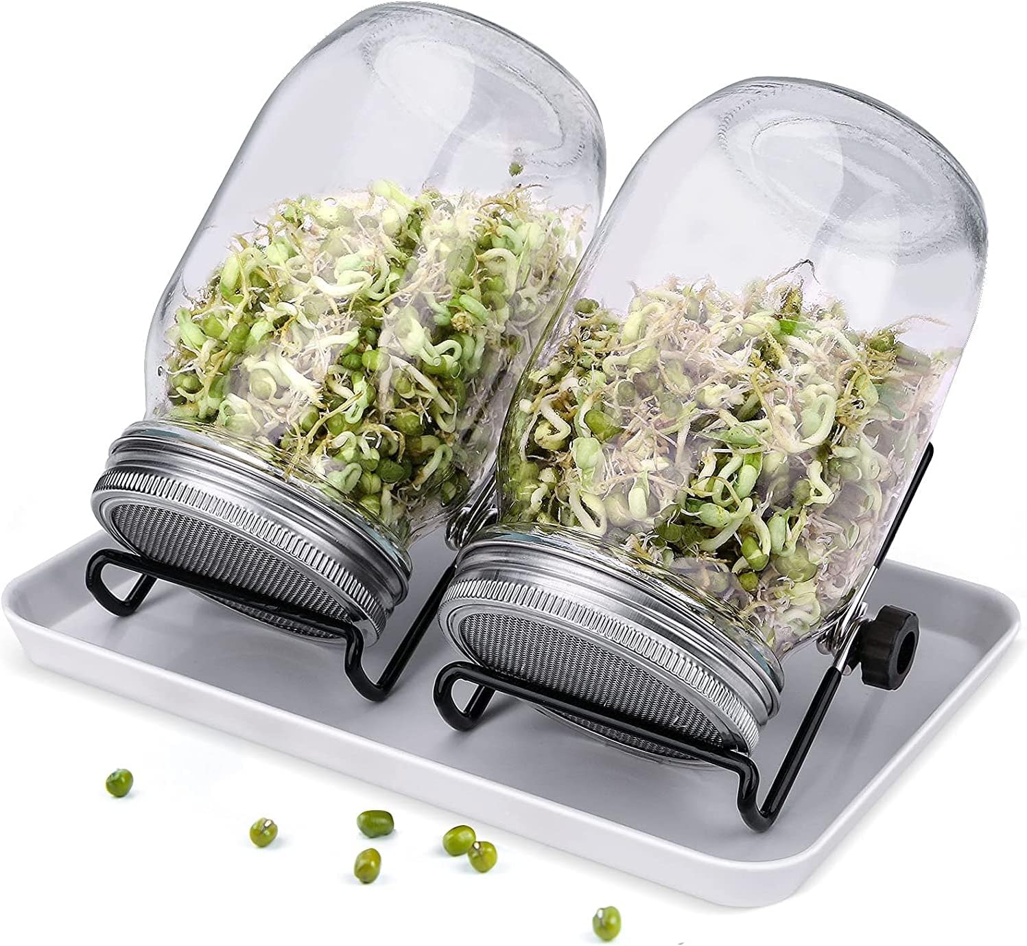 Sprouting Mason Jars, Seed Sprouter Kit 2 Sprouting Mason Jars with