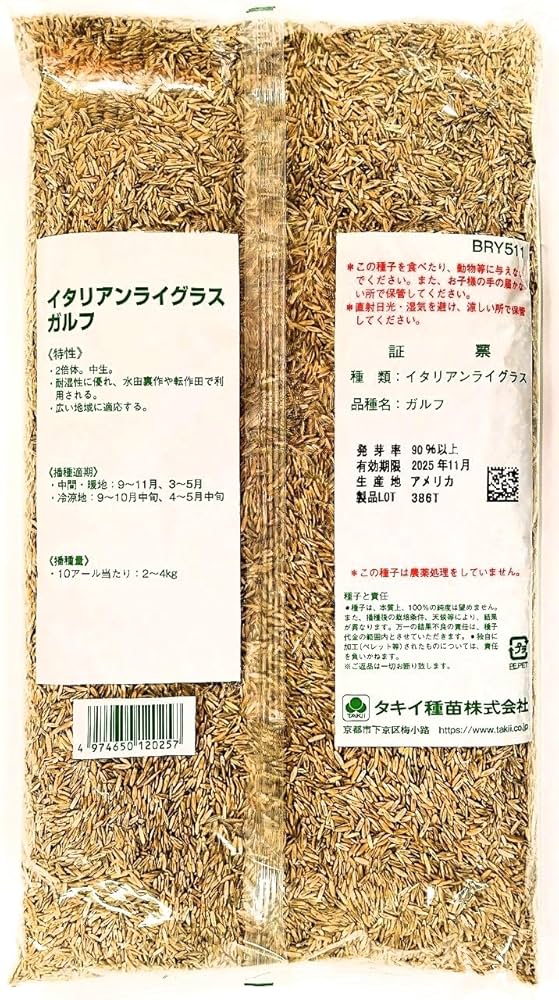 きなこもち　イタリアンライグラス苗１５株＋α　生牧草　イタリアン　400g 旬牧草 イタリアンライグラス40g | ジェックス株式会社