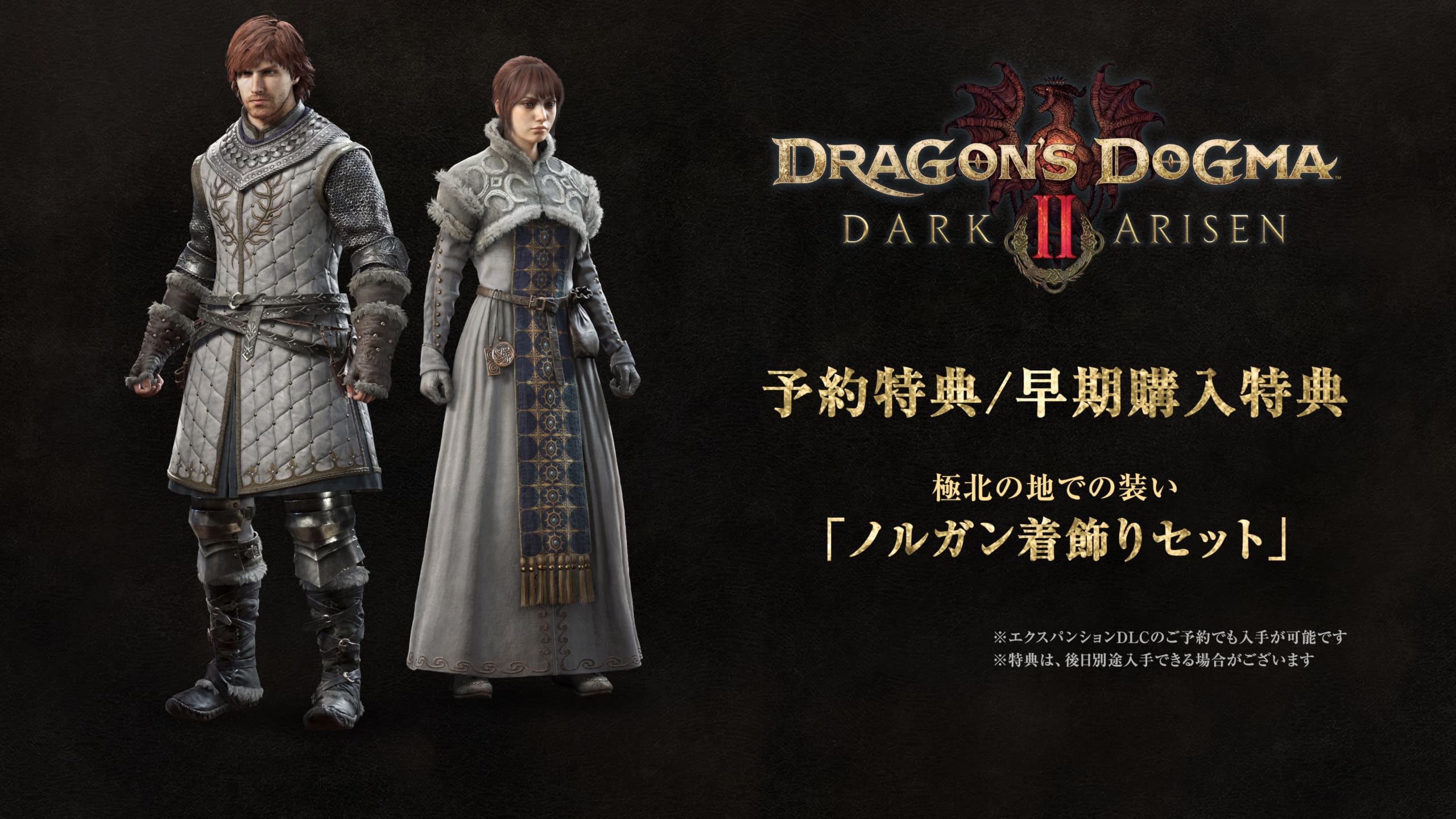 Amazon.co.jp: ドラゴンズドグマ 2：ダークアリズン -Switch2【早期