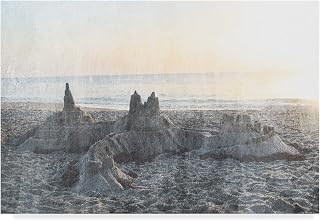 Trademark Fine Art Sand Castle II by Sharon Chandler, 12x19,