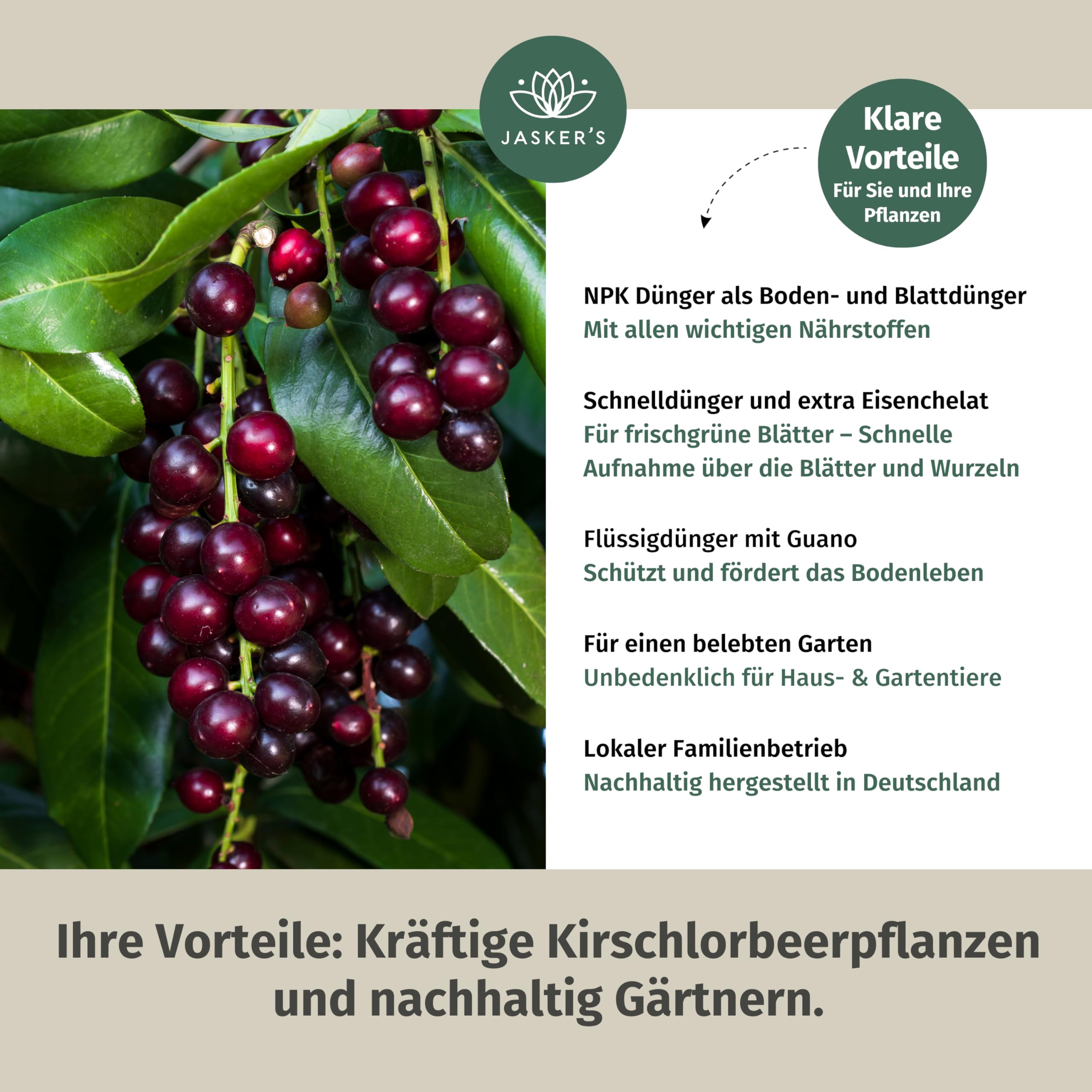 Kirschlorbeer Dünger flüssig 5 L - 100% Turbo Schnelldünger mit Guano - Füssigdünger Kirschlorbeer - Dünger portugiesischer Kirschlorbeer - Kirschlorbeerdünger für Lorbeerhecke
