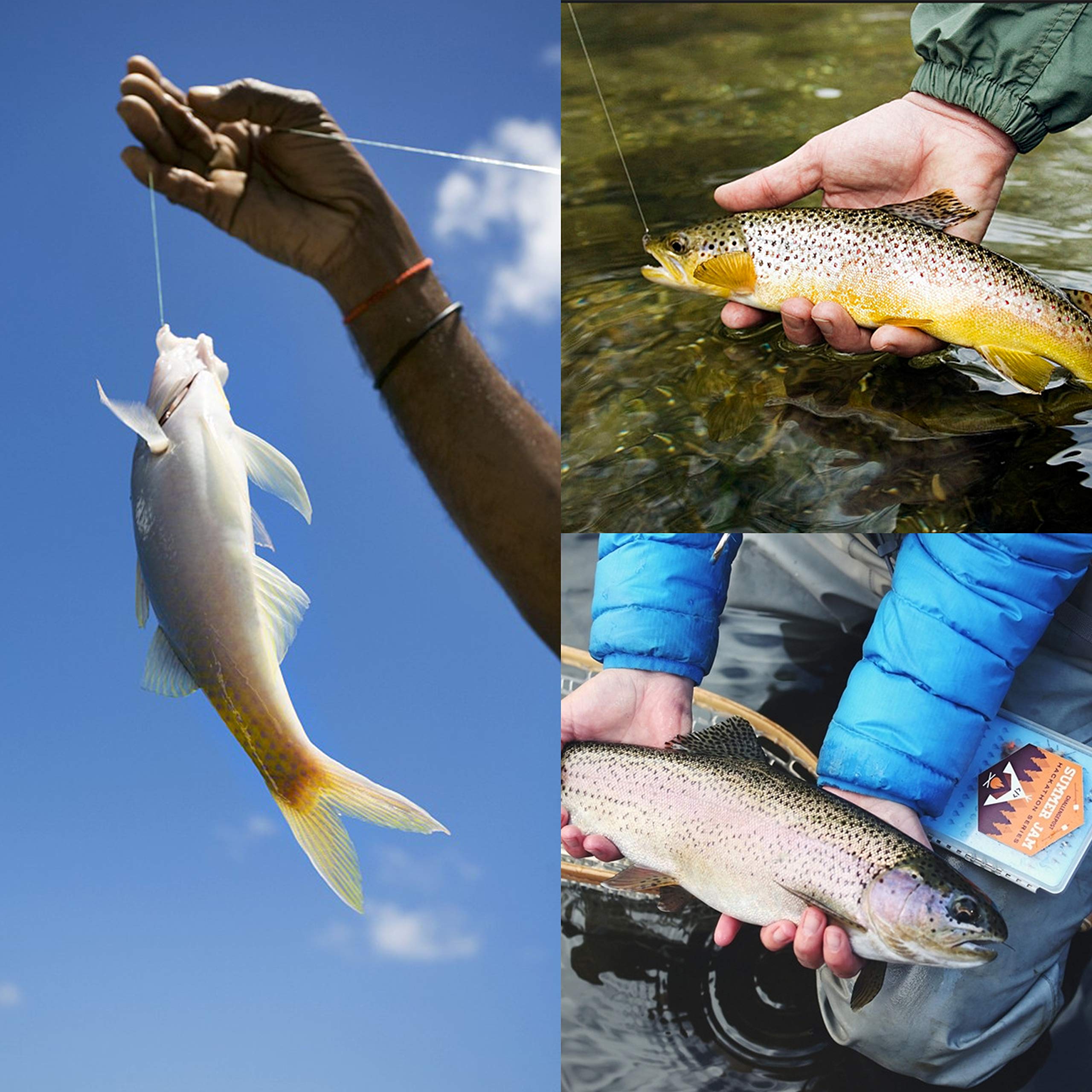 Ganci circolari per pesce gatto in acqua salata, 110 pezzi, ganci circolari offset per polipo, ganci da pesca in linea, 2 ganci circolari per acqua salata, attrezzatura per la pesca al gatto, taglia 8