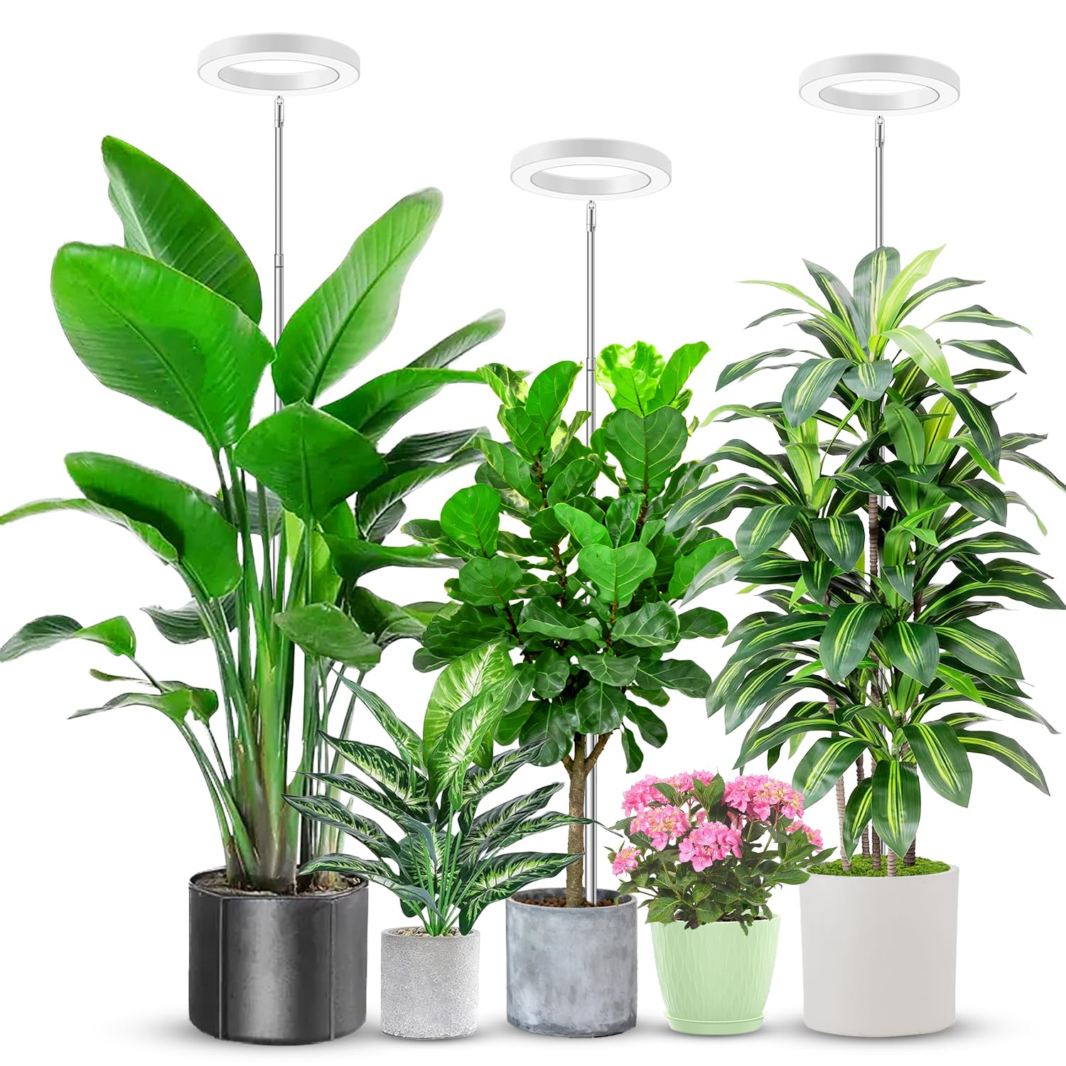 Aokrean Lot de 3 lampes de croissance de 16 cm, 80 DEL à spectre complet pour culture en intérieur, hauteur réglable de 25,4 à 165,1 cm, minuterie automatique 6/12/16 heures, 3 modes d'éclairage