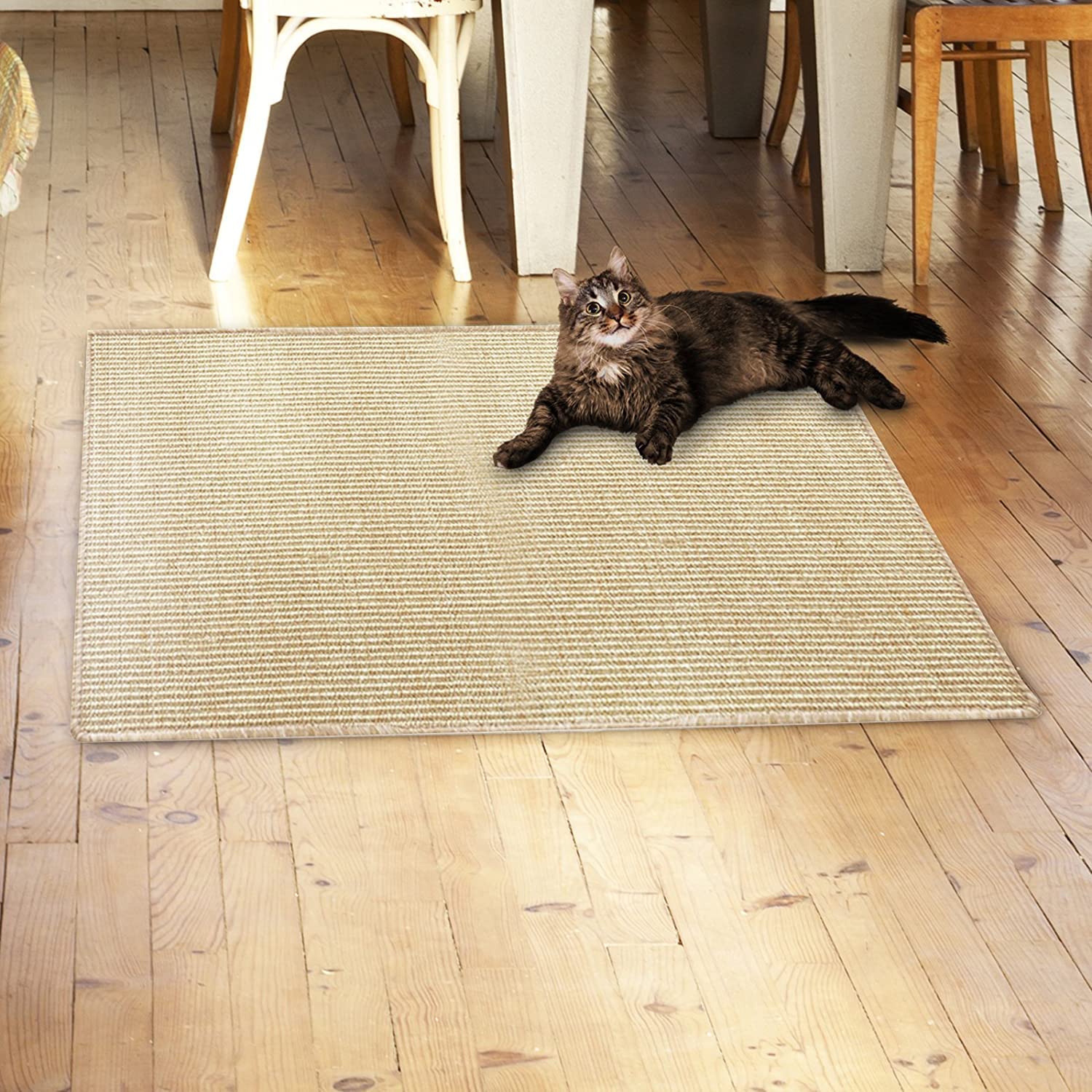 KARAT Tappeto per graffi in Sisal, protezione ideale per i vostri mobili e il benessere del gatto, tappeto in sisal resistente, tappeto per gatti con bordo in cotone, tappeto in fibra naturale (100 x