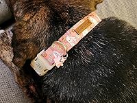 Review Image by Laura Tessier Laura Tessier