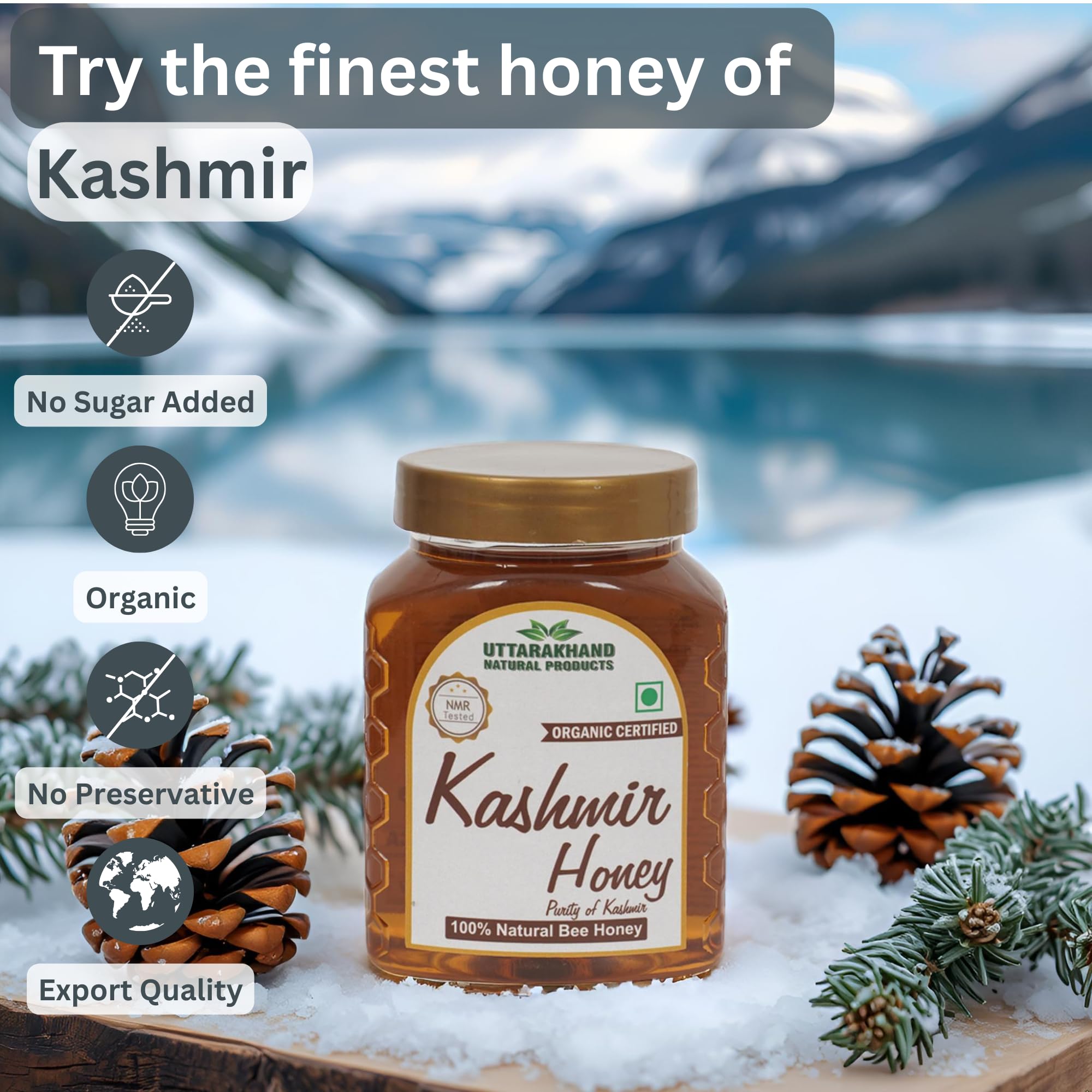 UTTARAKHAND NATURAL PRODUCTS Kashmir Honey 500gm (Pack of 2) | NMR Tested | Organic Certified | ISO Certified | Pure and Natural (2x500gm) 2