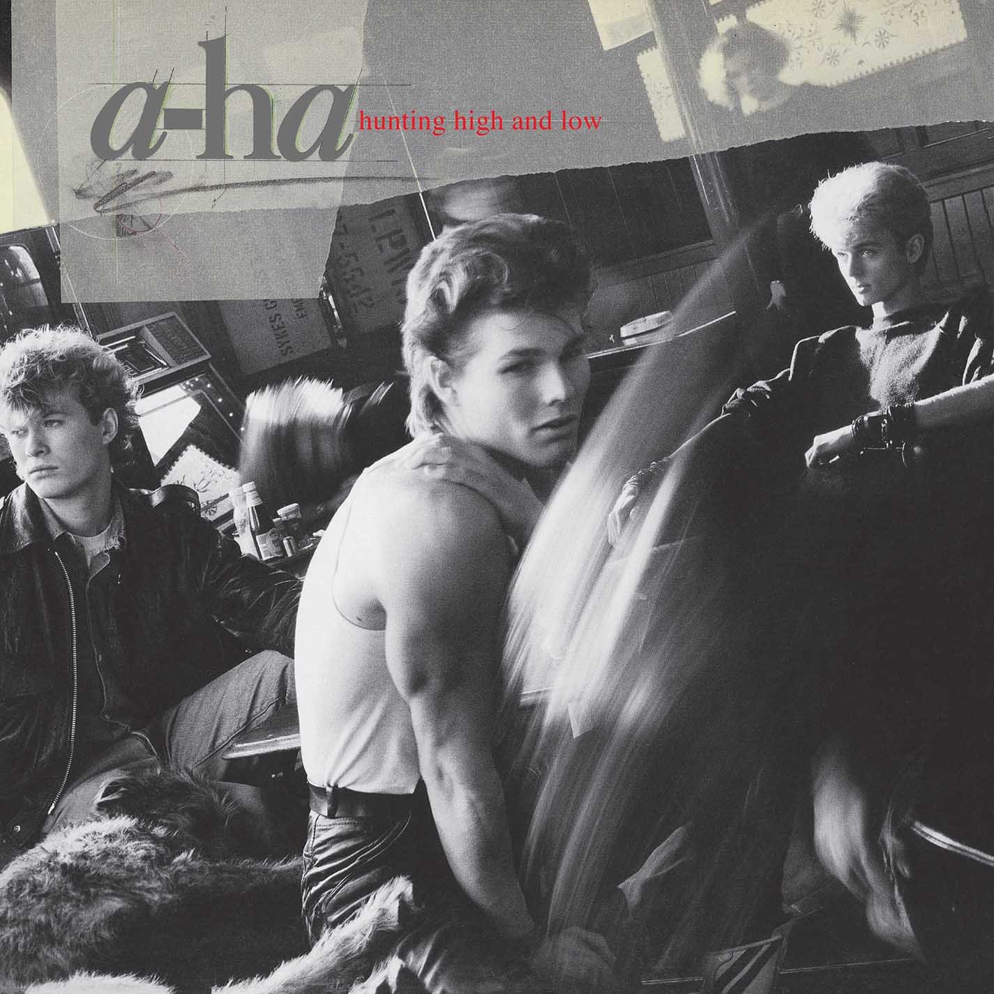 Hunting High &.. -Deluxe-