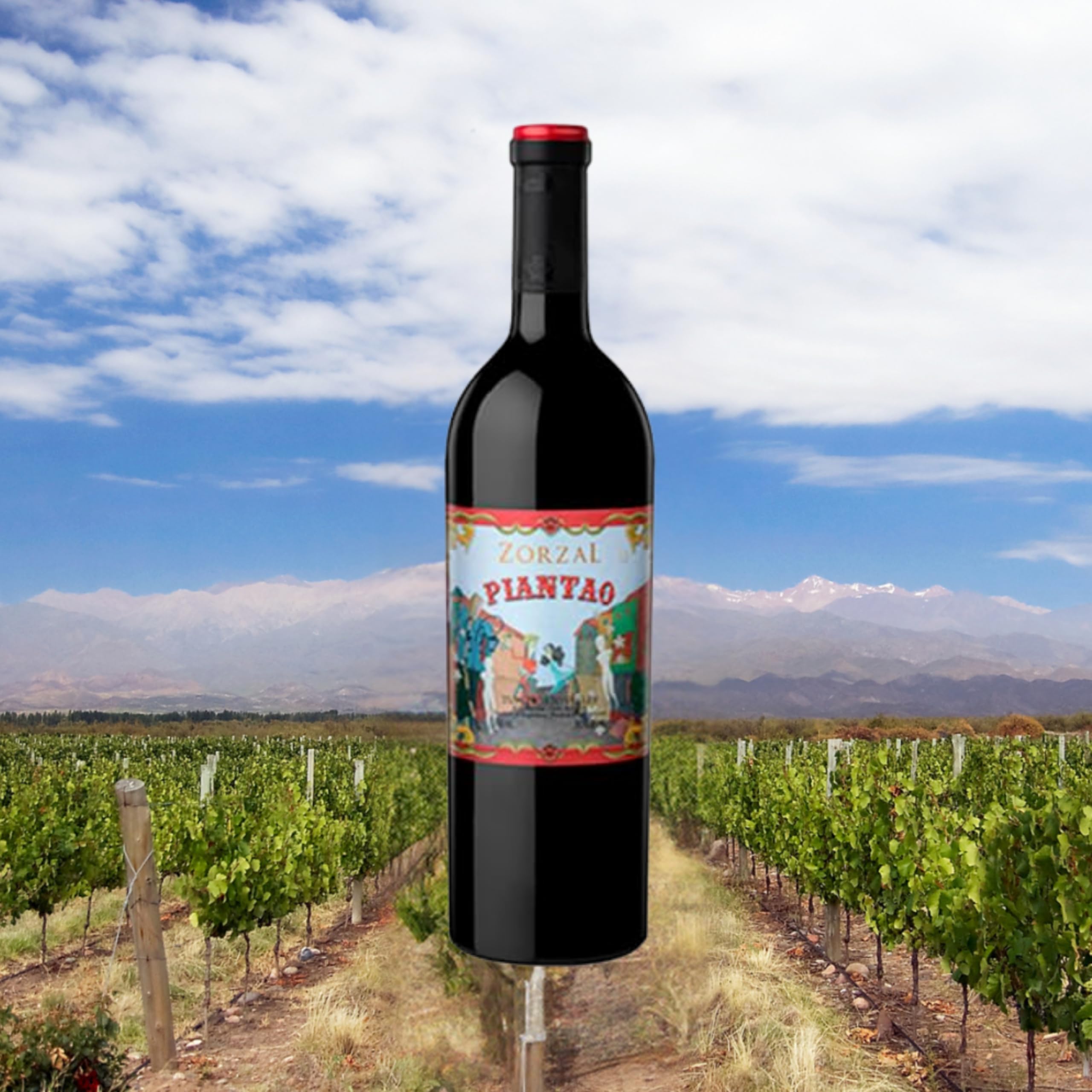 Zorzal Wines Vinho Piantao Cabernet Franc Malbec 750ml | Amazon.com.br