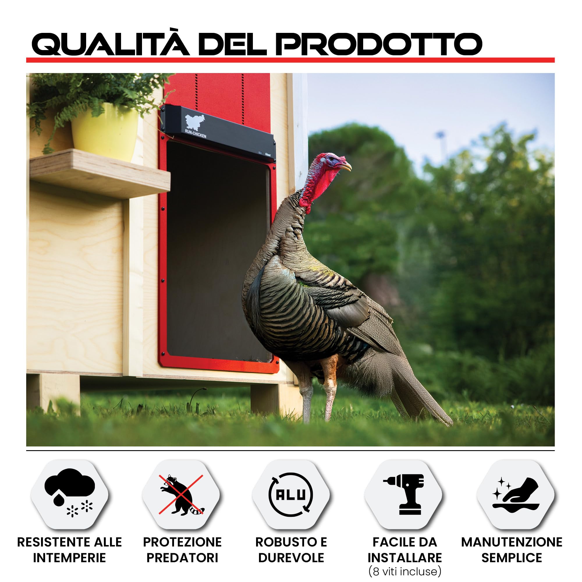 Porta automatica Run-Chicken GIANT rossa per grandi volatili. Apertura 36 x 50 cm, alluminio resistente alle intemperie. Timer o GPS e sistema di sicurezza anti-schiacciamento.