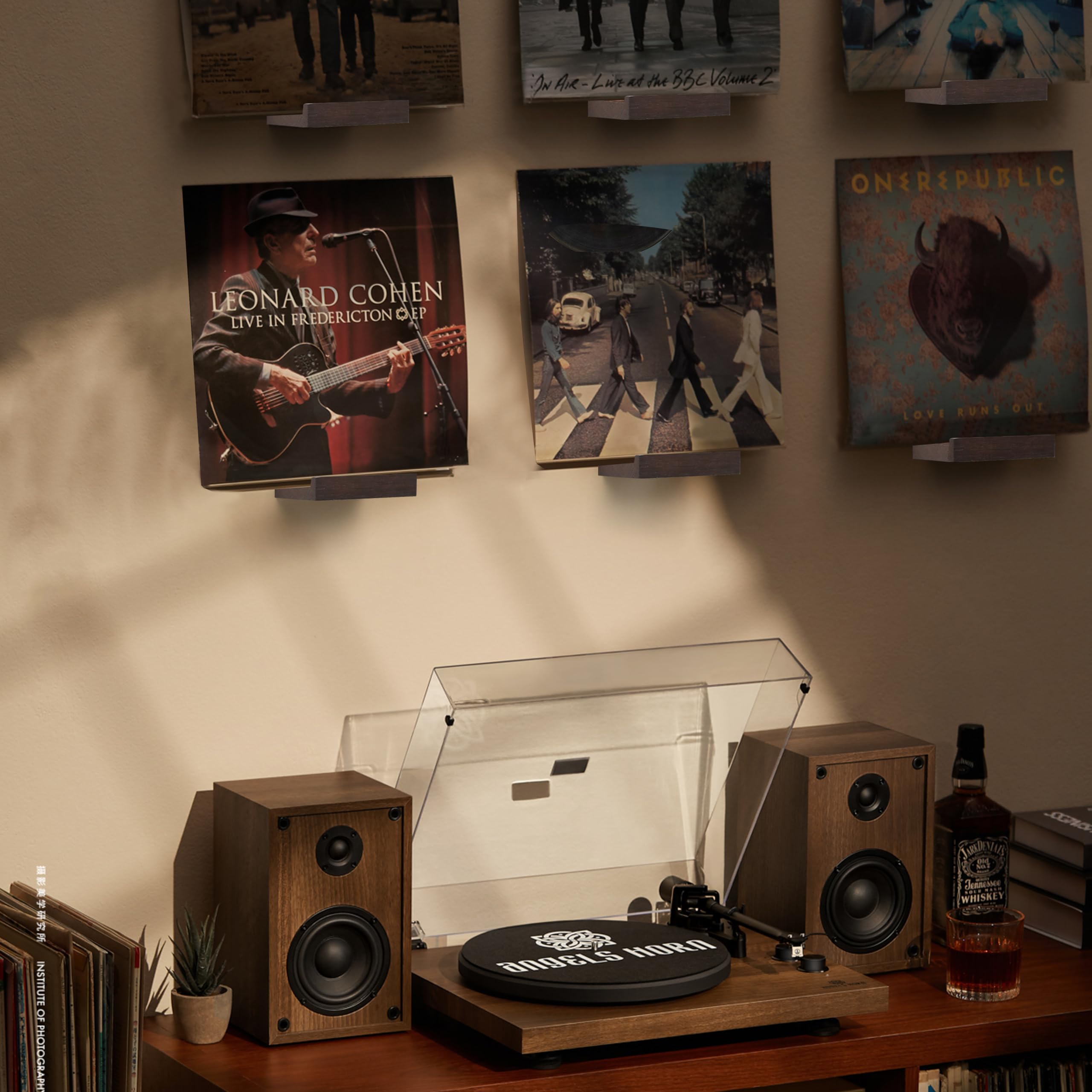MITREL Juego De 12 Estantes De Madera De Roble Macizo, Estante De Pared para Discos, Soporte para Discos De Albumes, Estantes De Repisa De Fotos(Nogal Oscuro)
