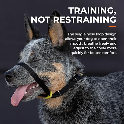 Miniatura 2 de Canny Colossus - Collar acolchado para la cabeza de perro, arnés de entrenamiento para perros de razas grandes, fácil de ajustar para dejar de tirar